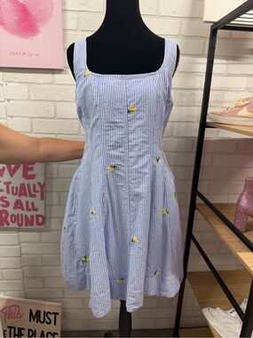 Blue Striped Mini Dress with Lemon Embroidery - Women